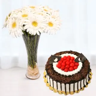 Tall Vase arrangement of 10 white gerberas with black forest cool cake 