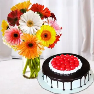 Vase arrangement of 10 mix colour gerberas with black forest premium quality cool cake 