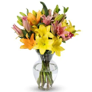 Vase arrangement of 10 mix colour lilies 