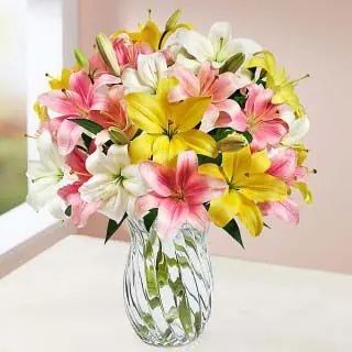 Vase arrangement of 10 mix colour lilies