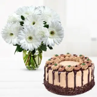 Vase arrangement of 10 white gerberas with chocolate cake 