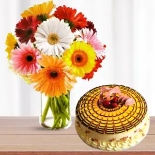 Vase arrangement of 12 mix colour gerberas with premium butterscotch cool cake