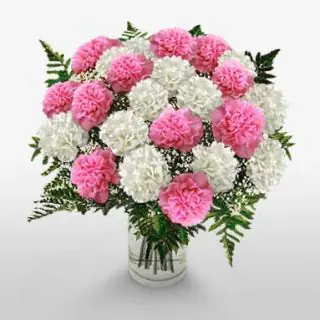Vase arrangement of 20 pink and white carnations 
