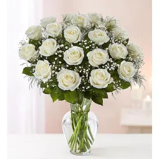Vase arrangement of 20 white roses with white gypsopheliea flowers 