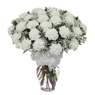 vase arrangement of 30 white carnations 