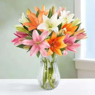 Vase arrangement of 7 mix colour lilies 