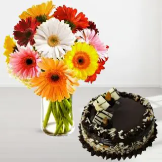 Vase arrangement of mix colour gerberas with chocolate cake 