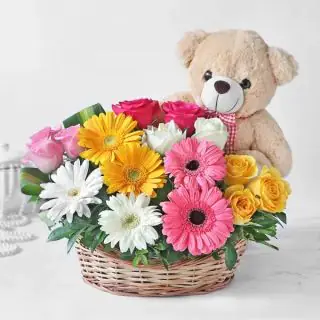 Basket arrangement of 12 colourful gerberas with a cute teddybear sitting in it 