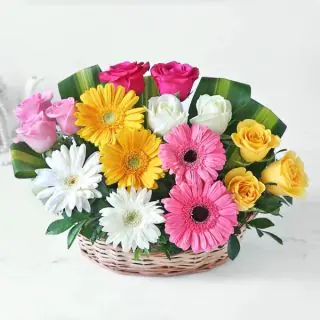 Beautiful basket arrangement of 15 mix colour  gerberas 