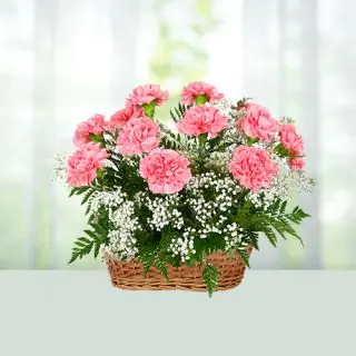 Basket arrangement of 12 pink carnations