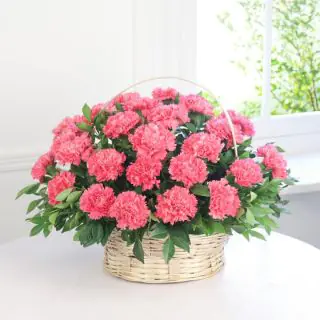 Basket of fresh  25 pink carnations 