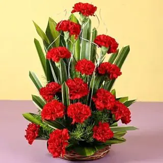 Basket arrangement of fresh 20 red carnations flowers