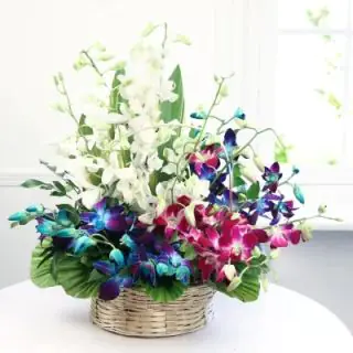 Exotic Basket arrangement of white, purple, and blue orchids