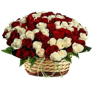 Beautiful Basket arrangement of 50 red and white roses 