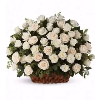 Basket of 50 white roses 