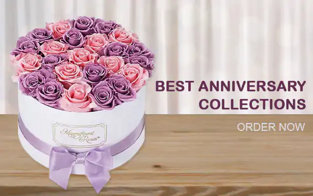Anniversary Banner image