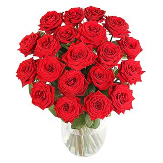 20 Red roses in vase