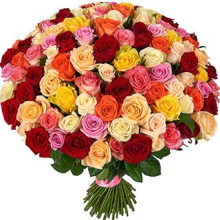 Bunch of 50 mix roses