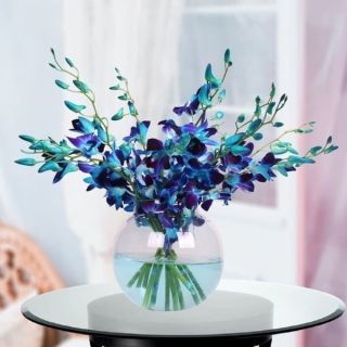 10 blue orchids arranged in glass bowl 
