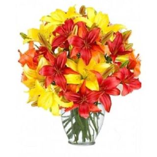 10 Red and yellow lilies in glass vase