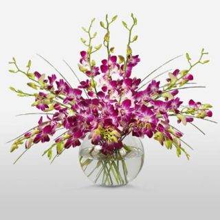12 purple orchids arranged in vase 