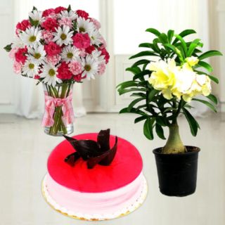 Mix flowers in glass vase  with 1 pound strawberry cool cake with yellow Adenium plant