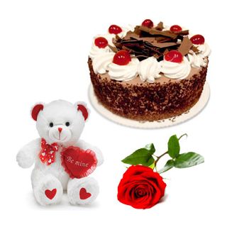 1 kg black forest with 1 feet height teddy bear with single red rose