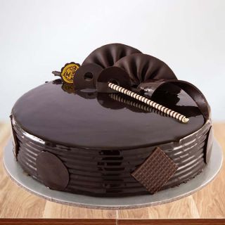 double chocolate  cake 