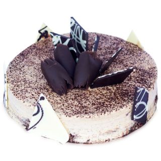 premium quality Tiramisu fresh cream cake