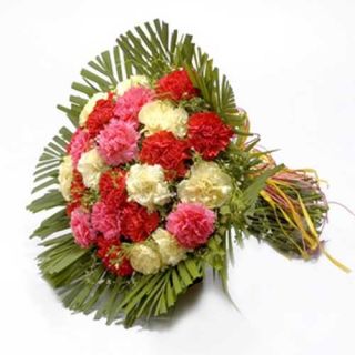 20 mix carnations bunch