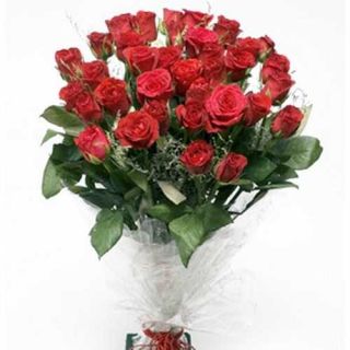 25 red Roses bunch
