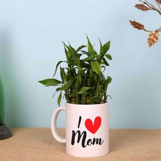 2 Layer Lucky Bamboo in I Love Mom Mug 