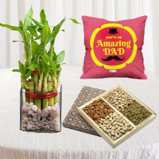 2 layer lucky bamboo plant, box of half kg assorted dryfruits, with photo cushion 
