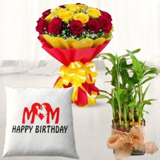 Bunch of 15 red and yellow roses, 2 layer lucky bamboo plant, photo cushion 