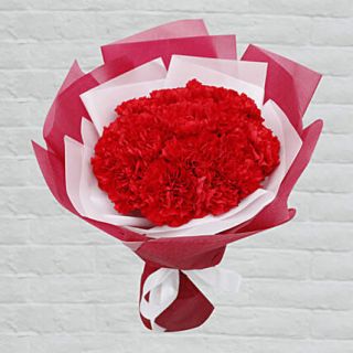 bunch of 40 red carnations