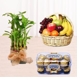 2 layer lucky bamboo plant, 16 pcs Ferrero rocher chocolates with basket of 2 kg assorted fruits 
