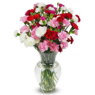 20 carnations in mix colour arranged in vase