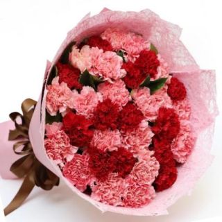 bunch of 12 mix carnation