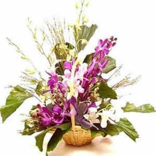 Arrangement of 10 orchids in lavender and white color
