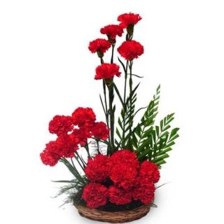 arrangement of 20 red carnations