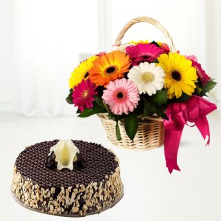 Basket arrangement of 10 mix colour gerberas with chocolate walnut cake 