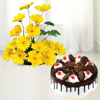 Basket arrangement of 20 yellows gerberas with oreo black forest cake 