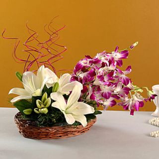 Basket Arrangement of 5 lavender  orchids with 2 white lilies 