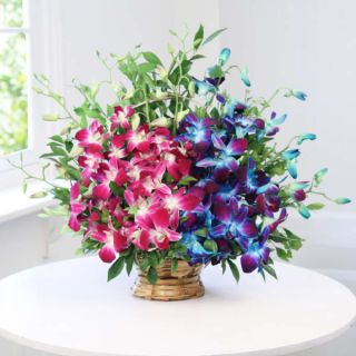 Basket Arrangement of Blue and lavender orchids 