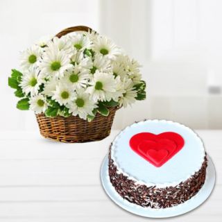 Basket Arrangement of white gerberas with black forest cool cake 