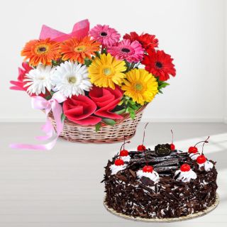 Beautiful basket of 15 mix colour gerberas with black forest cake 