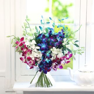 Beautiful bouquet of white,lavender, blue orchids 