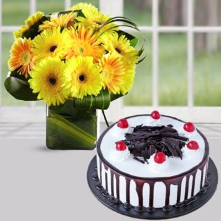 Beautiful vase arrangement of 12 yellow gerberas with black forest cool cake 