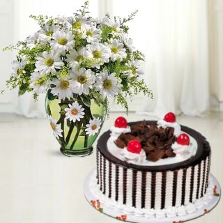 Beautiful Vase arrangement of 20 white daisy with black forest cool cake 