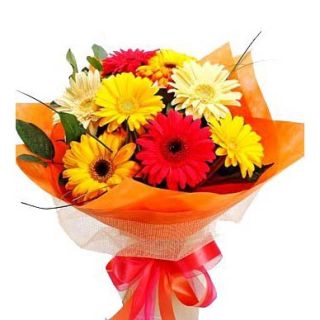 Bouquet of 10 mix colour gerberas with special packing 